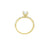 Kelly Round Moissanite Ring - Eliise Maar Jewellery